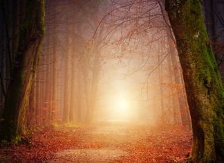 Qu’est-ce qui peut être caché ?