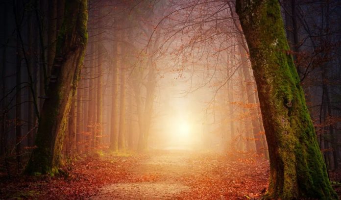 Qu'est-ce qui peut être caché