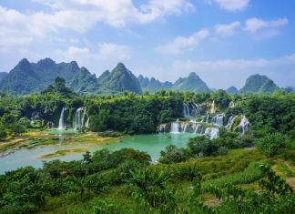 Conseil Intergalactique : Vivez l’expérience pleinement