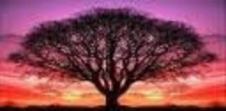 Changements, Changements et Changements !