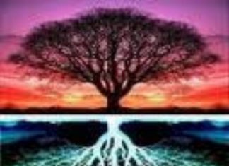 Changements, Changements et Changements !