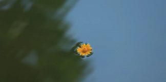 Reposez-vous pendant que les autres vous aident