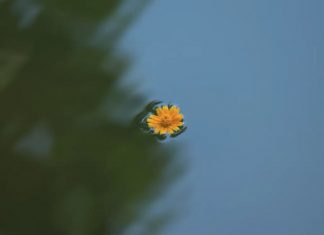 Le calme au centre de la tempête