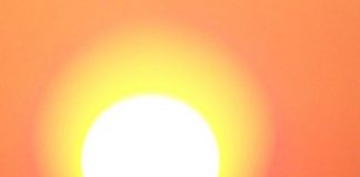 Vous êtes les Transmetteurs de ce que Nous Sommes