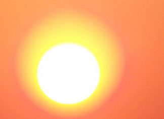 Vous êtes les Transmetteurs de ce que Nous Sommes