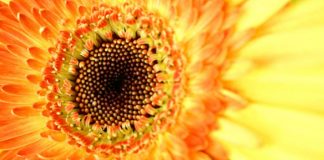 Xiaera : De la lassitude au merveilleux – partie 1