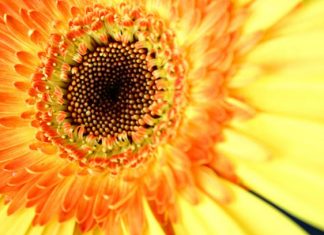 Pourquoi êtes-vous là ?