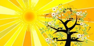 Ne Dormez Pas sur cette Opportunité Divine de Regagner tout ce qui a été Perdu