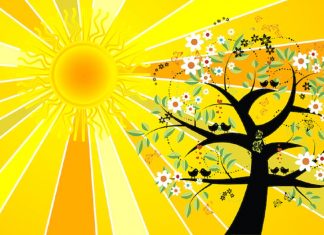 Ne Dormez Pas sur cette Opportunité Divine de Regagner tout ce qui a été Perdu