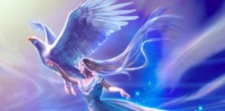 Comment auriez-vous pu Savoir