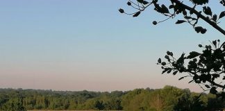 Cherchez et vous Trouverez