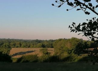 Cherchez et vous Trouverez