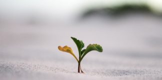 Le Créateur – Création