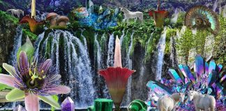 Élever vos Vibrations avec la Terre, tous les jours, est Vital !