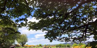 Message aux travailleurs de Lumière – 31 juillet 2020