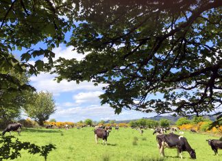 Le grand changement est là