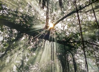 Voir à travers le Drame