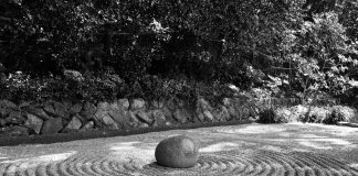 Le Créateur – Vos Capacités