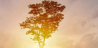 Se réveiller en toute sécurité