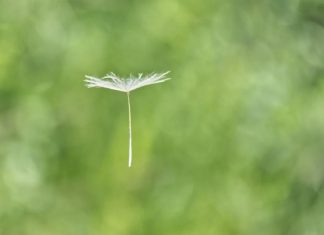 Des esprits connectés dans la Bénédiction