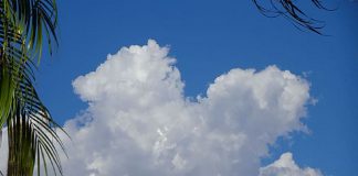 Changer le monde commence par l’amour de Soi