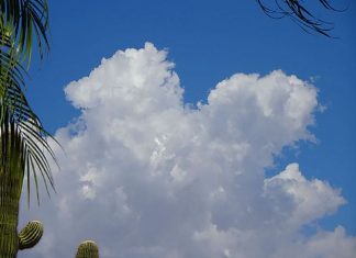 Changer le monde commence par l’amour de Soi