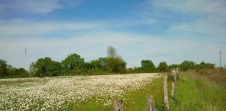 LE POINT DE NON RETOUR