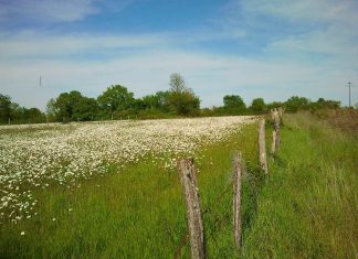 LE POINT DE NON RETOUR