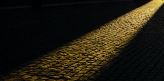 Nous pouvons tout utiliser