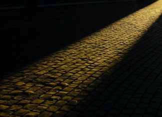 Nous pouvons tout utiliser