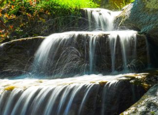 Pour les Montreurs de Chemin