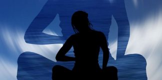 Formes Multiples du Créateur