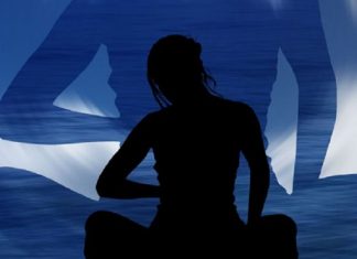 Formes Multiples du Créateur