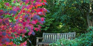 Le voyage de l’être humain vers sa vérité intérieure 2