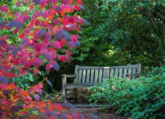 Le voyage de l’être humain vers sa vérité intérieure 2