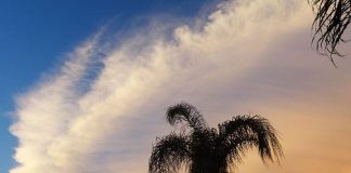 Pratiquer la paix pour soi-même et pour le monde