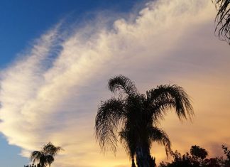 Pratiquer la paix pour soi-même et pour le monde