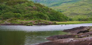 Un cours sur l’oubli : Une source d’énergie propre
