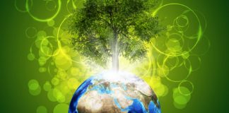 Tout cela est une belle réussite de votre évolution…