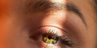 Le Créateur – Êtes-vous ?