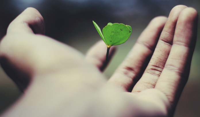 être qui vous êtes