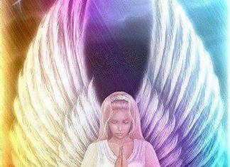 L’Unité : La Grâce Divine Retrouvée