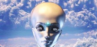 Message du Collectif Antarien