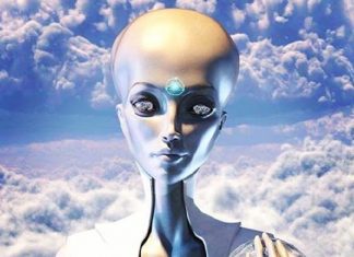 Message du Collectif Antarien