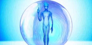 Avians bleus : Comment les Avians bleus aident-ils à notre Ascension ?