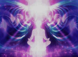 Plus Rien – Le Conseil