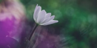 « Décider de voir l’Unité »