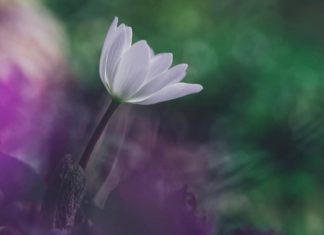 « Décider de voir l’Unité »