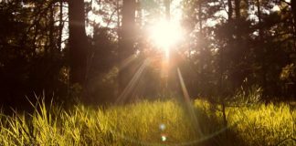 Découvrir l’Amour