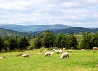 Message aux travailleurs de Lumière – 4 septembre 2020